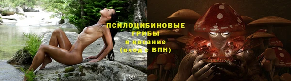 spice Алзамай