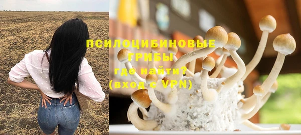 spice Алзамай