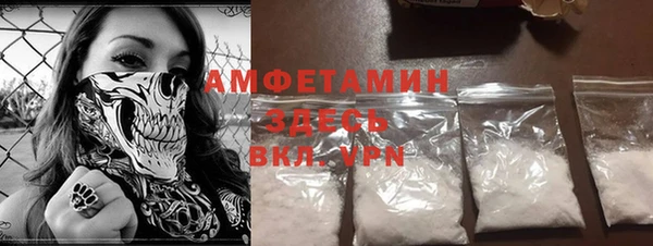 метадон Алексин